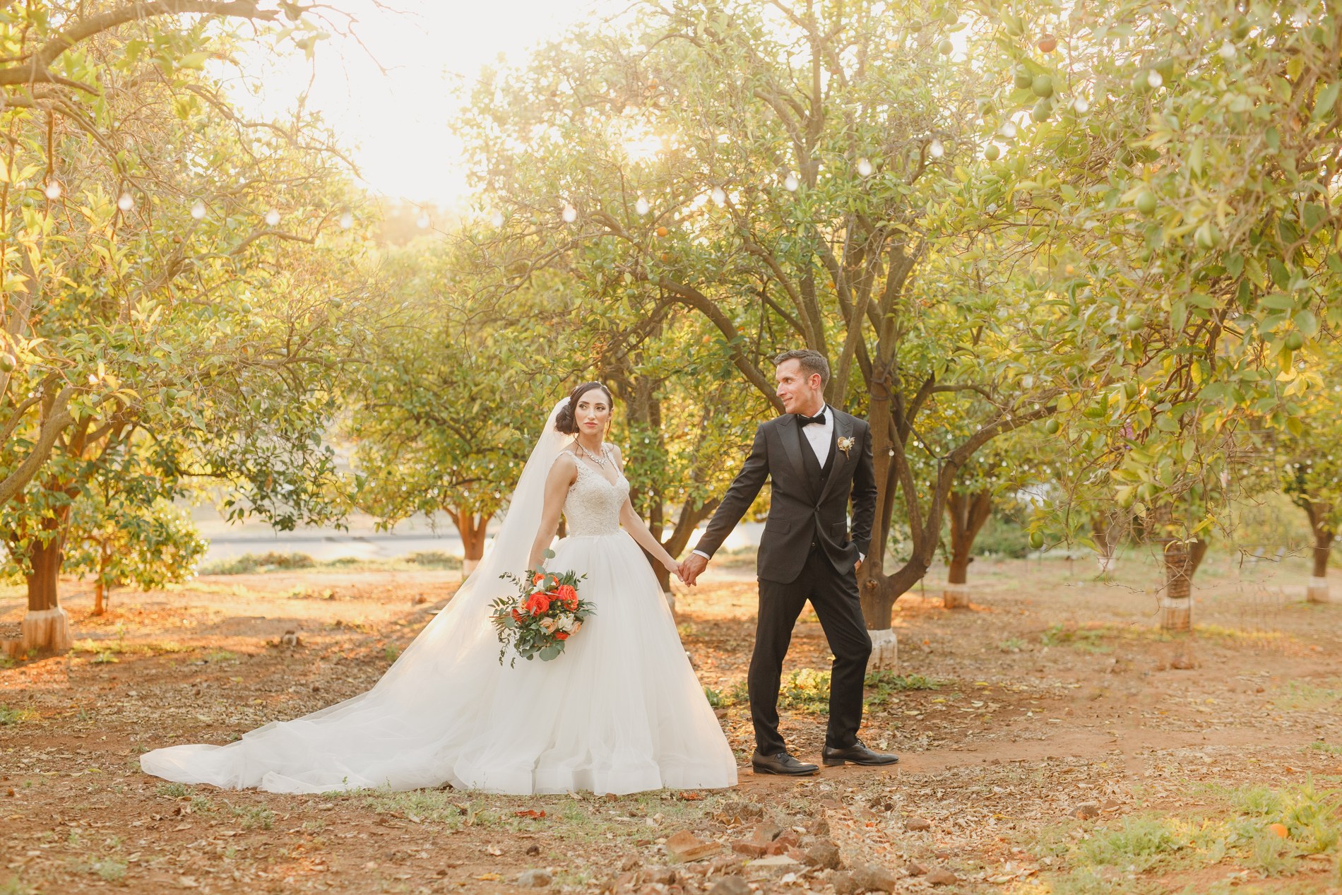 Roya and Josh on their wedding day among the orange trees